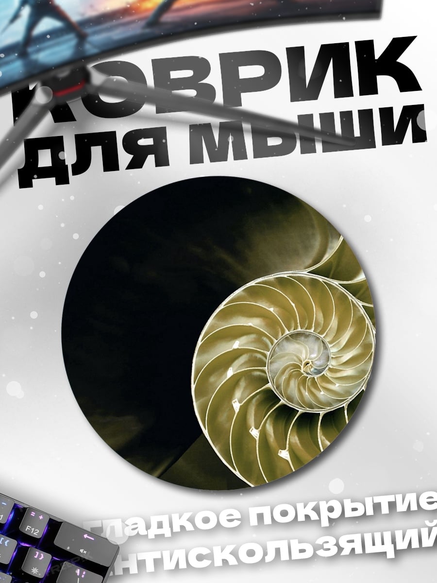 Коврик круглый раковина наутилуса