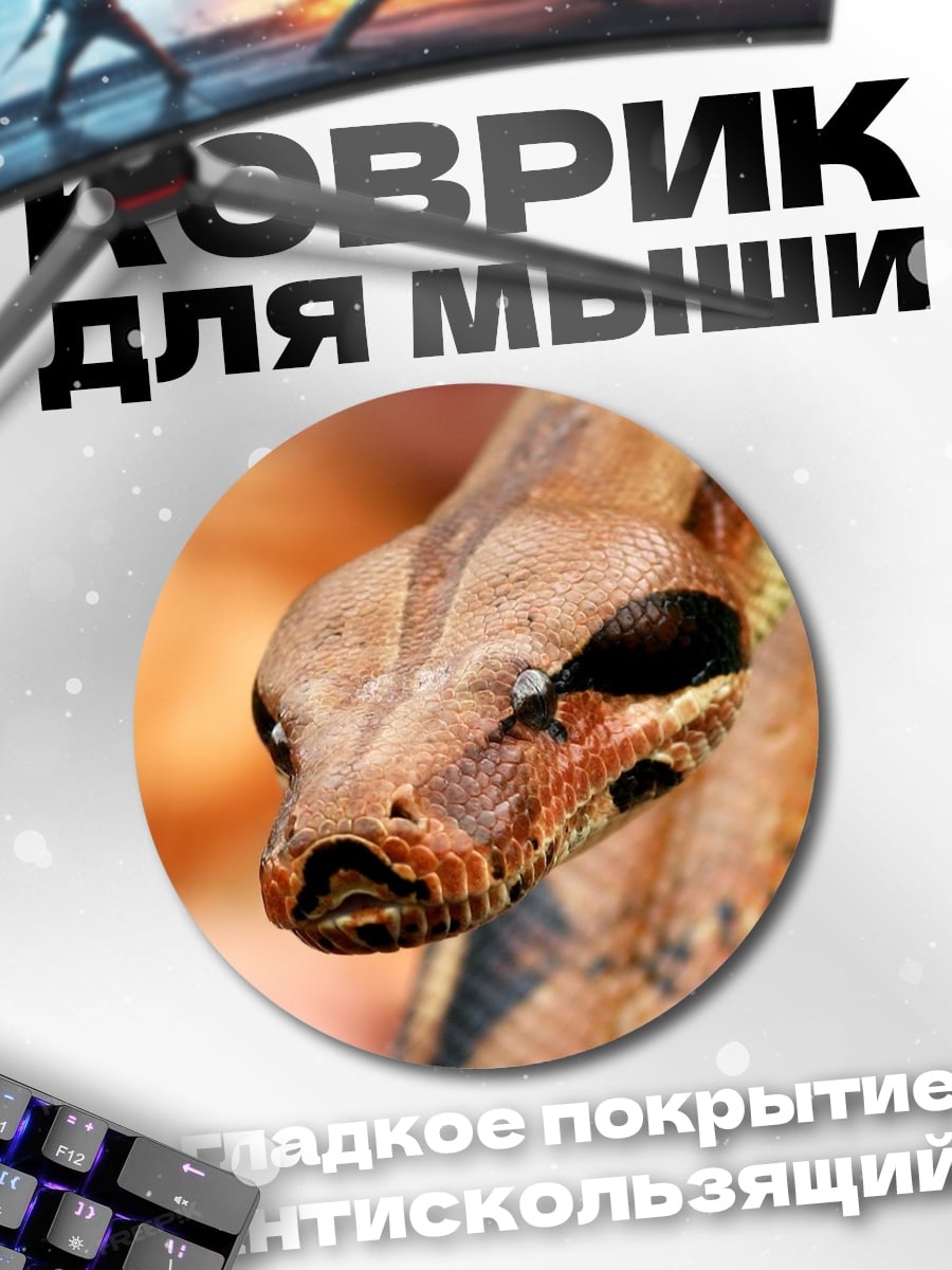 Коврик круглый Крупный план змеи