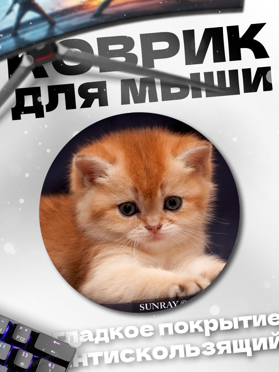 Коврик круглый Рыжий котенок