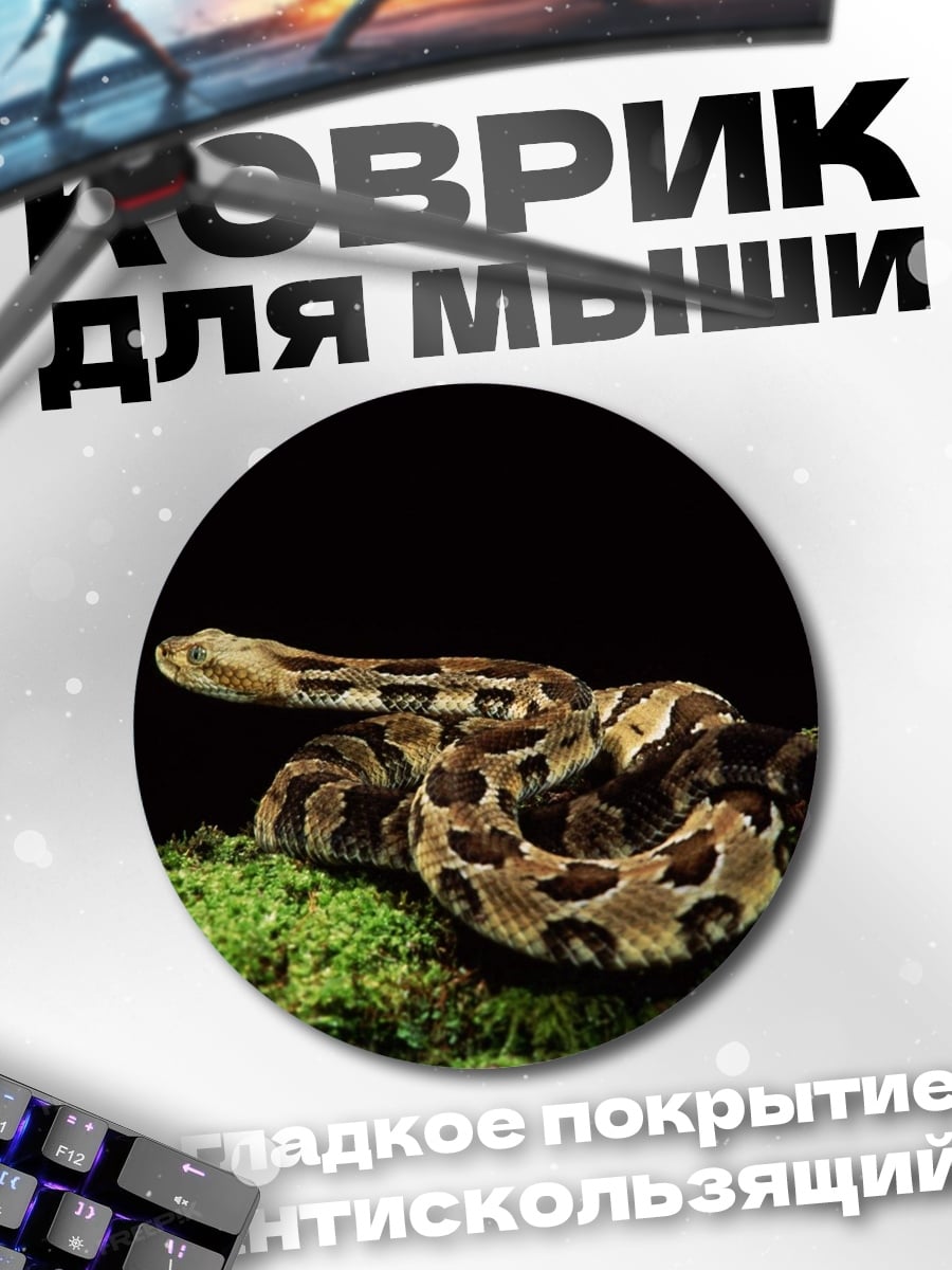 Коврик круглый змея на мху