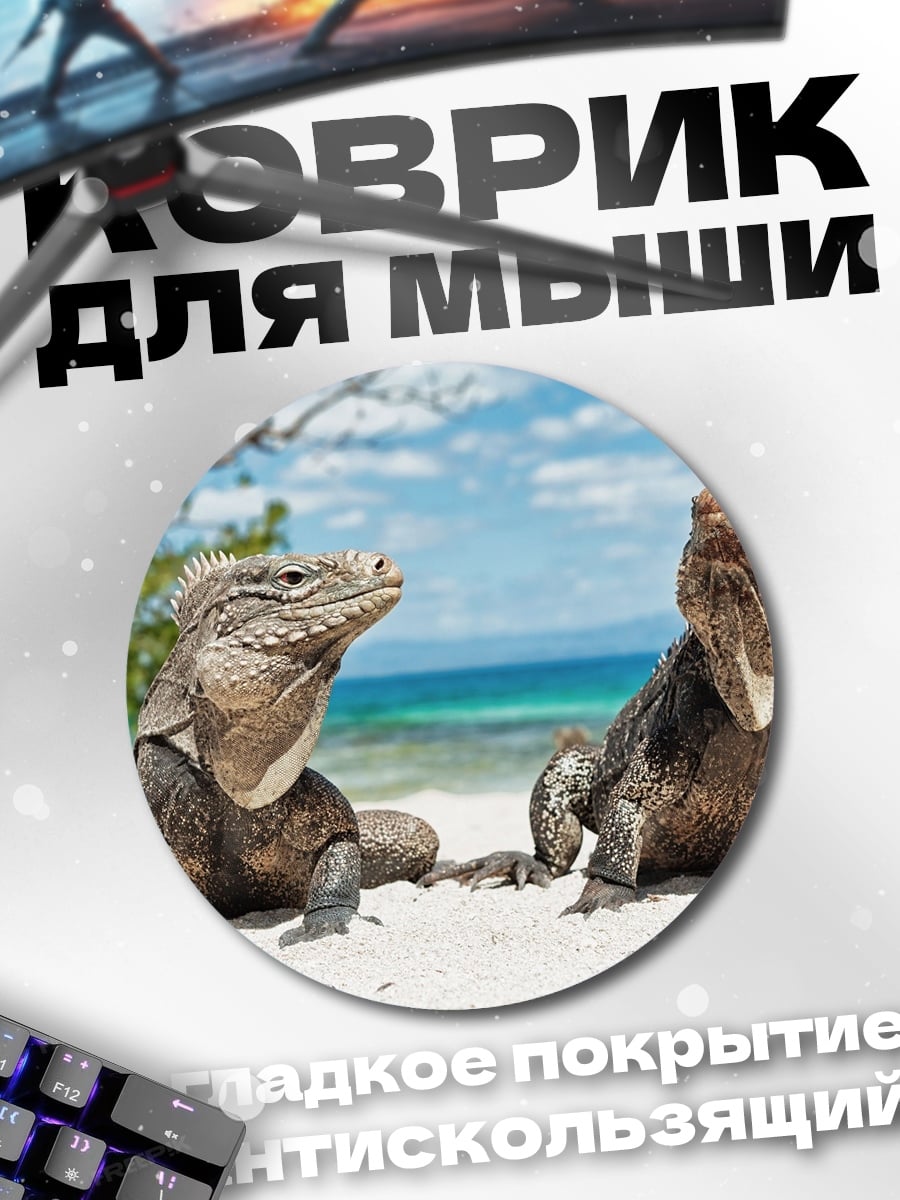 Коврик круглый Две игуаны на пляже