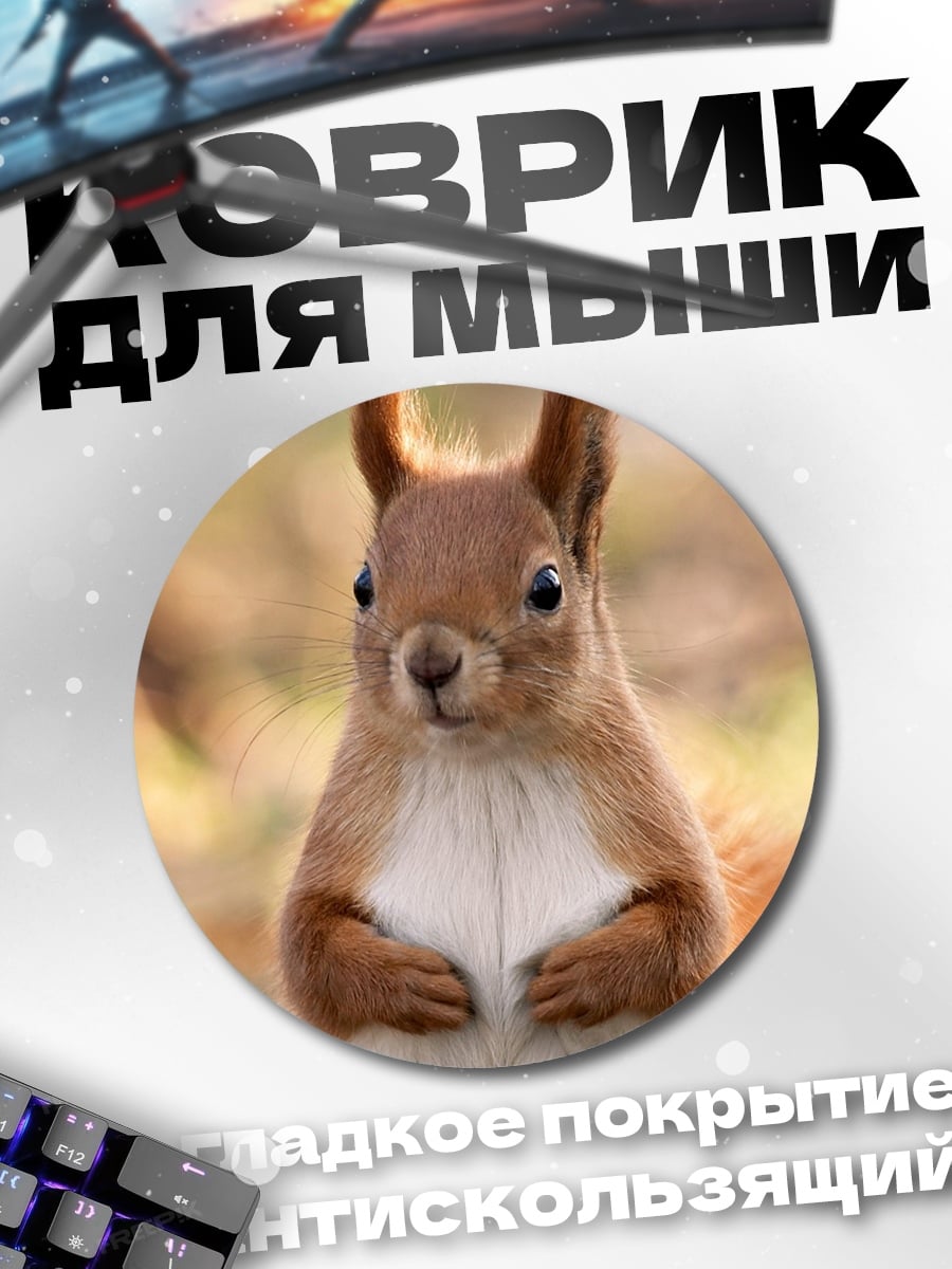 Коврик круглый Рыжая белка сидит