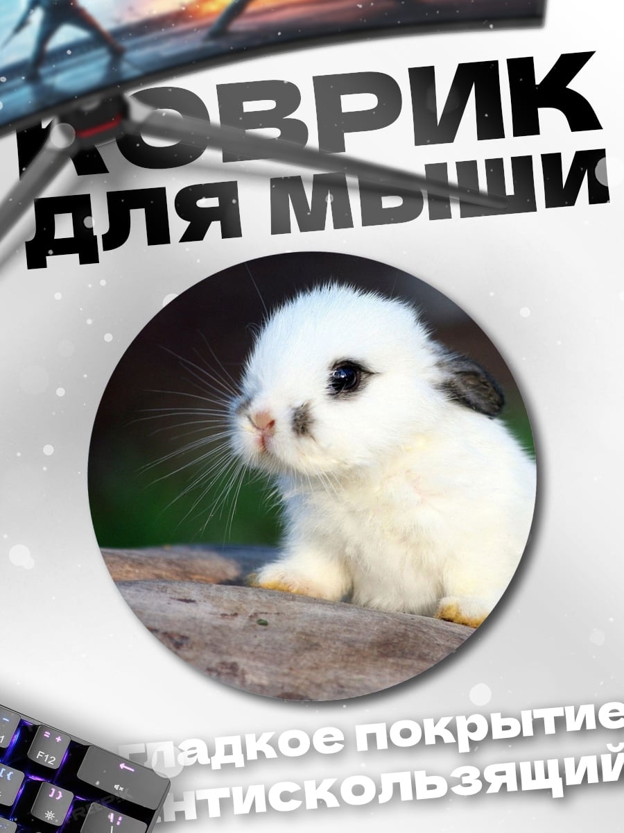 Коврик круглый Белый кролик на камне