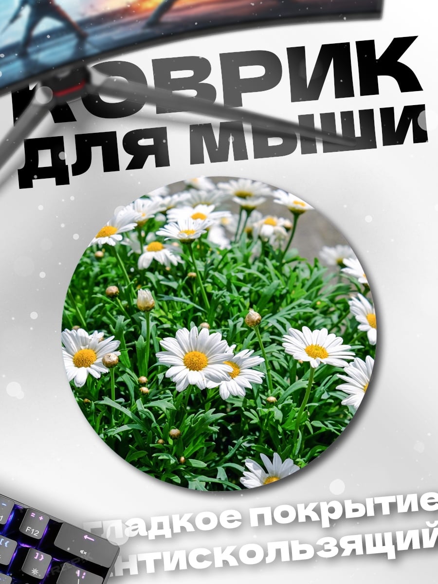 Коврик круглый поле ромашек