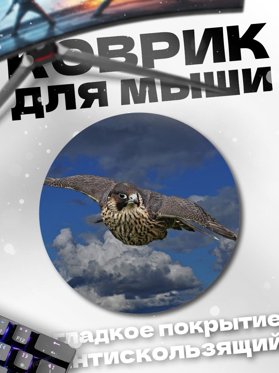 Коврик круглый сокол в полете