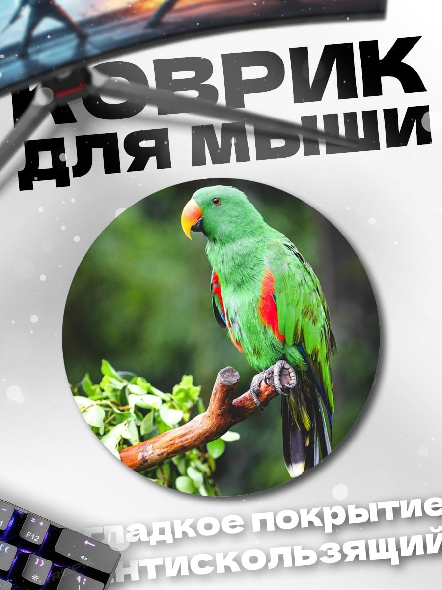 Коврик круглый Зелёный попугай на ветке