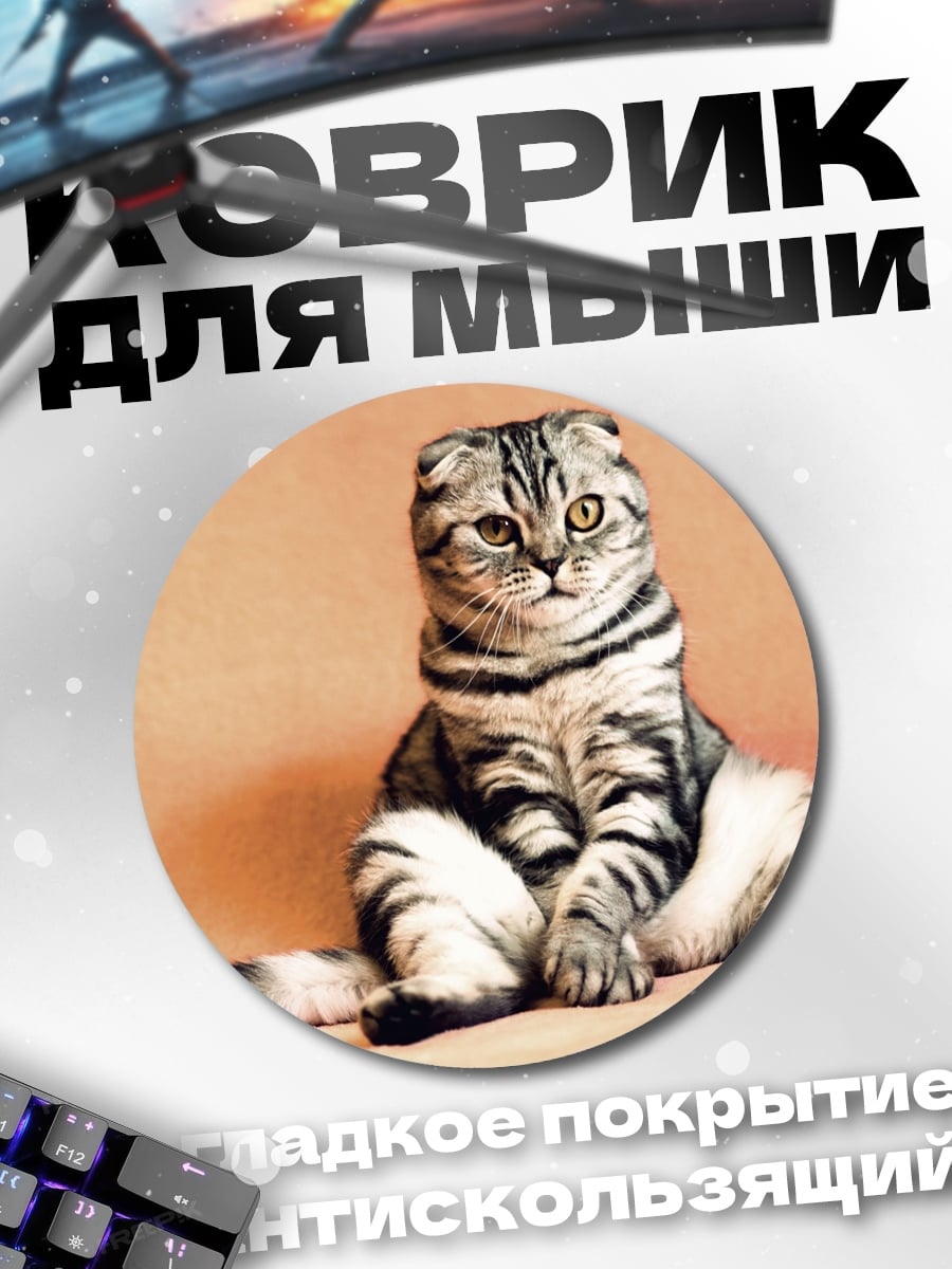 Коврик круглый Шотландский вислоухий кот