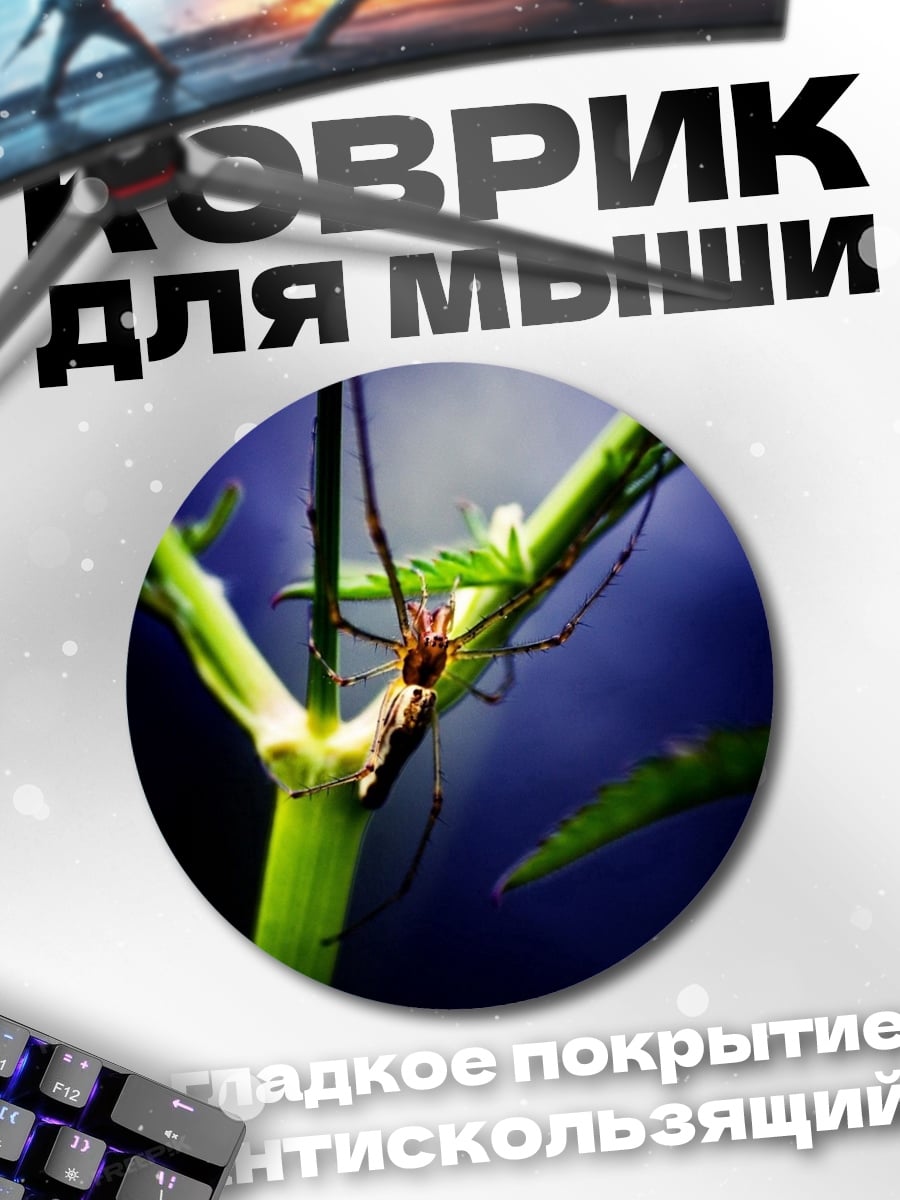 Коврик круглый Паук на ветке