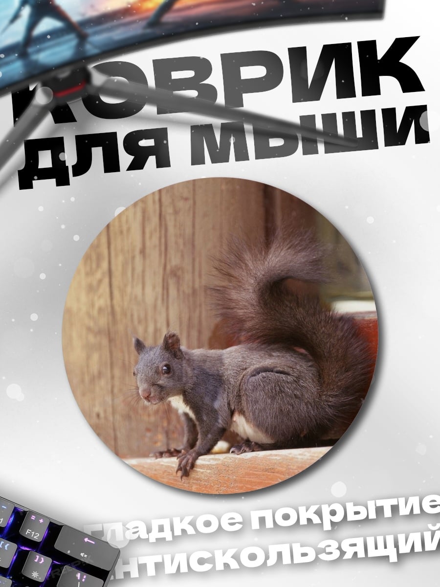 Коврик круглый Рыжая белка