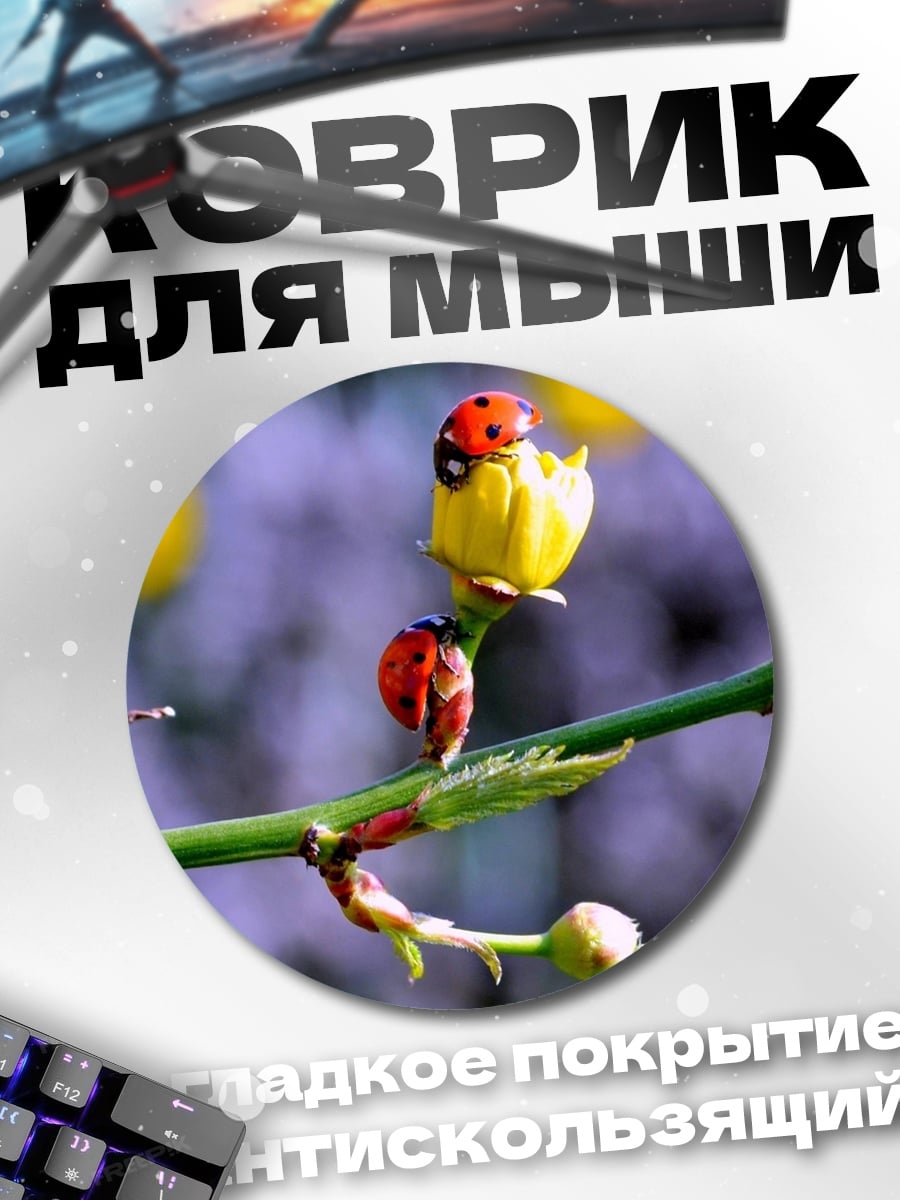 Коврик круглый божьи коровки на цветке