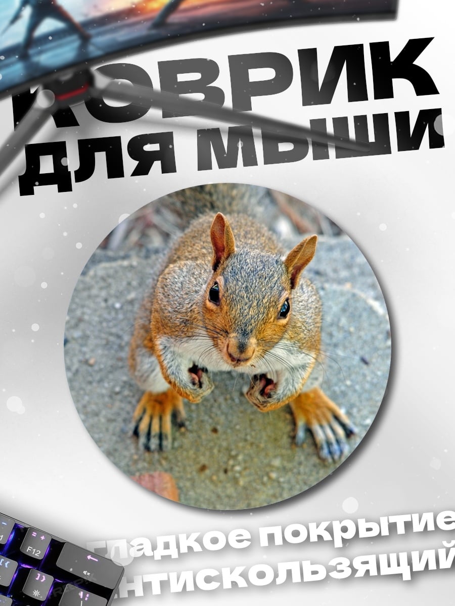 Коврик круглый белка смотрит