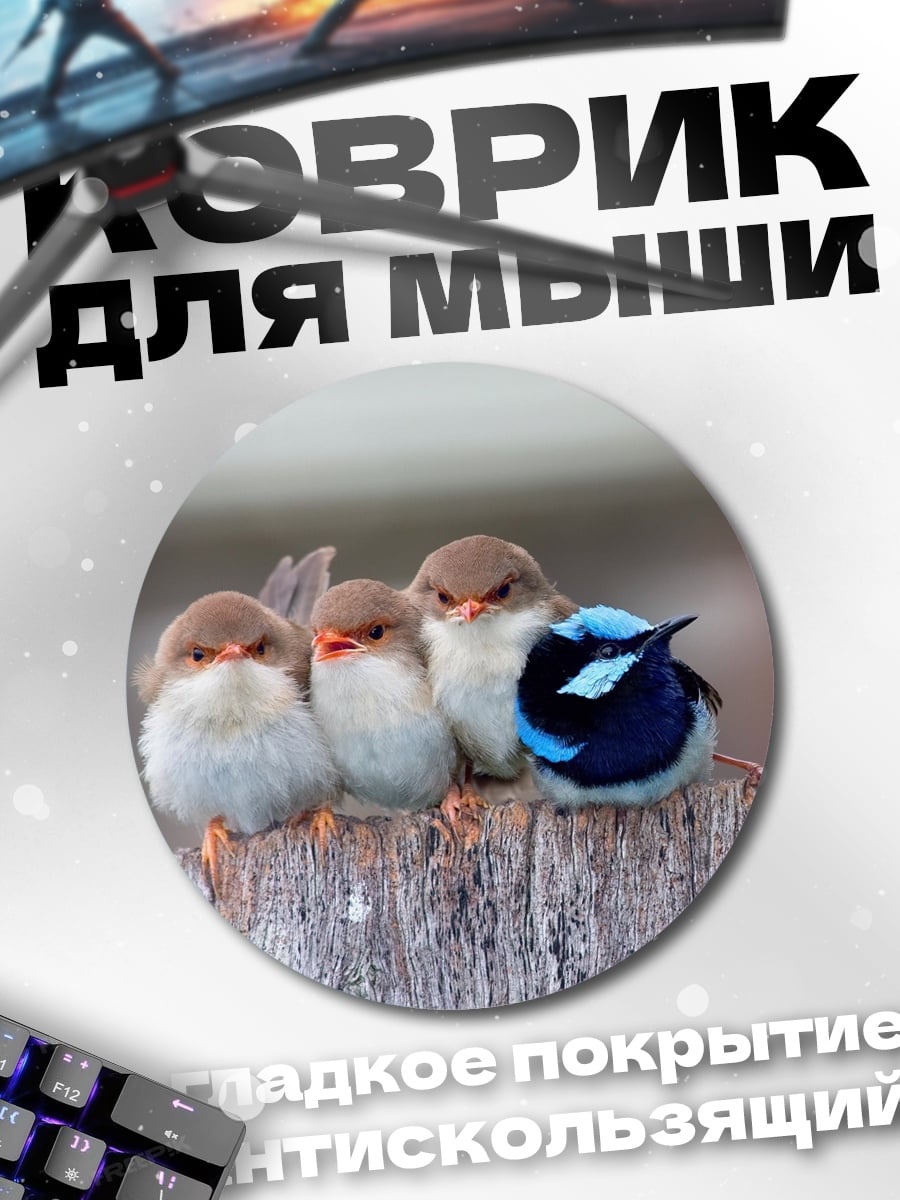 Коврик круглый Четыре птички