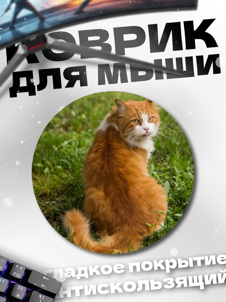 Коврик круглый Рыжий кот на траве