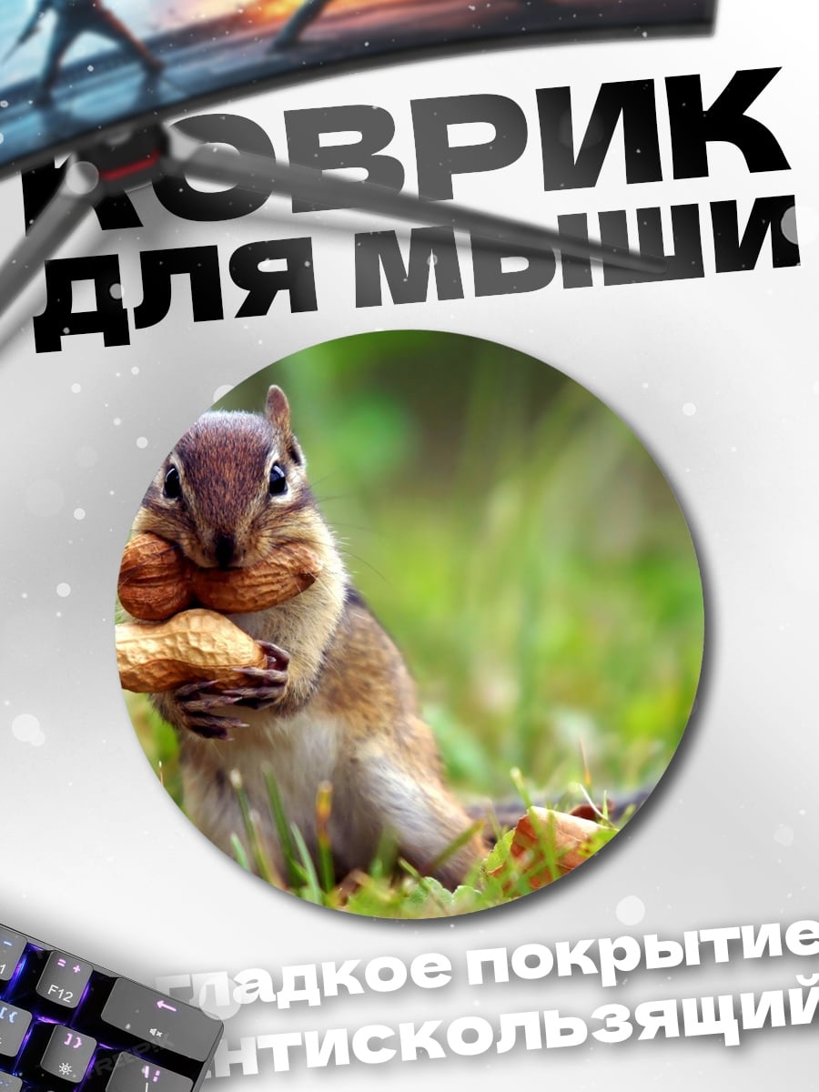 Коврик круглый бурундук с орехом