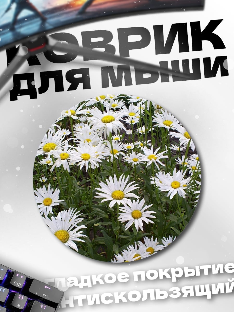 Коврик круглый Поле ромашек