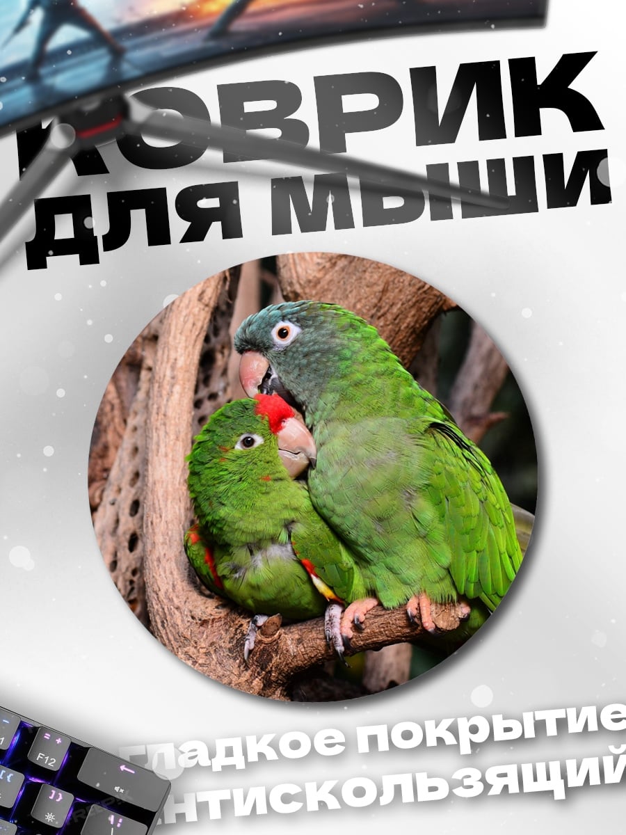 Коврик круглый Пара попугаев