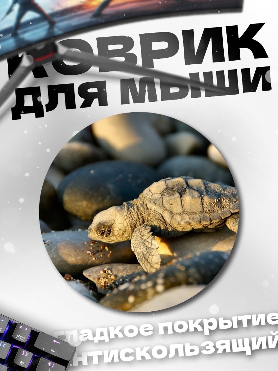 Коврик круглый Черепашонок на камнях
