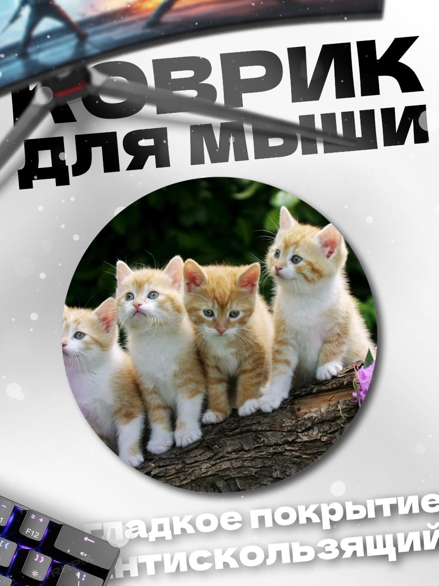Коврик круглый Четыре котенка на бревне