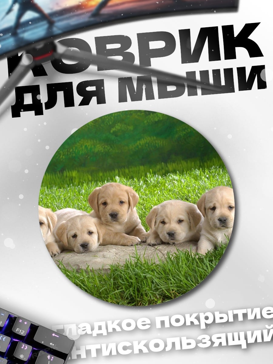 Коврик круглый Щенки лабрадора на траве