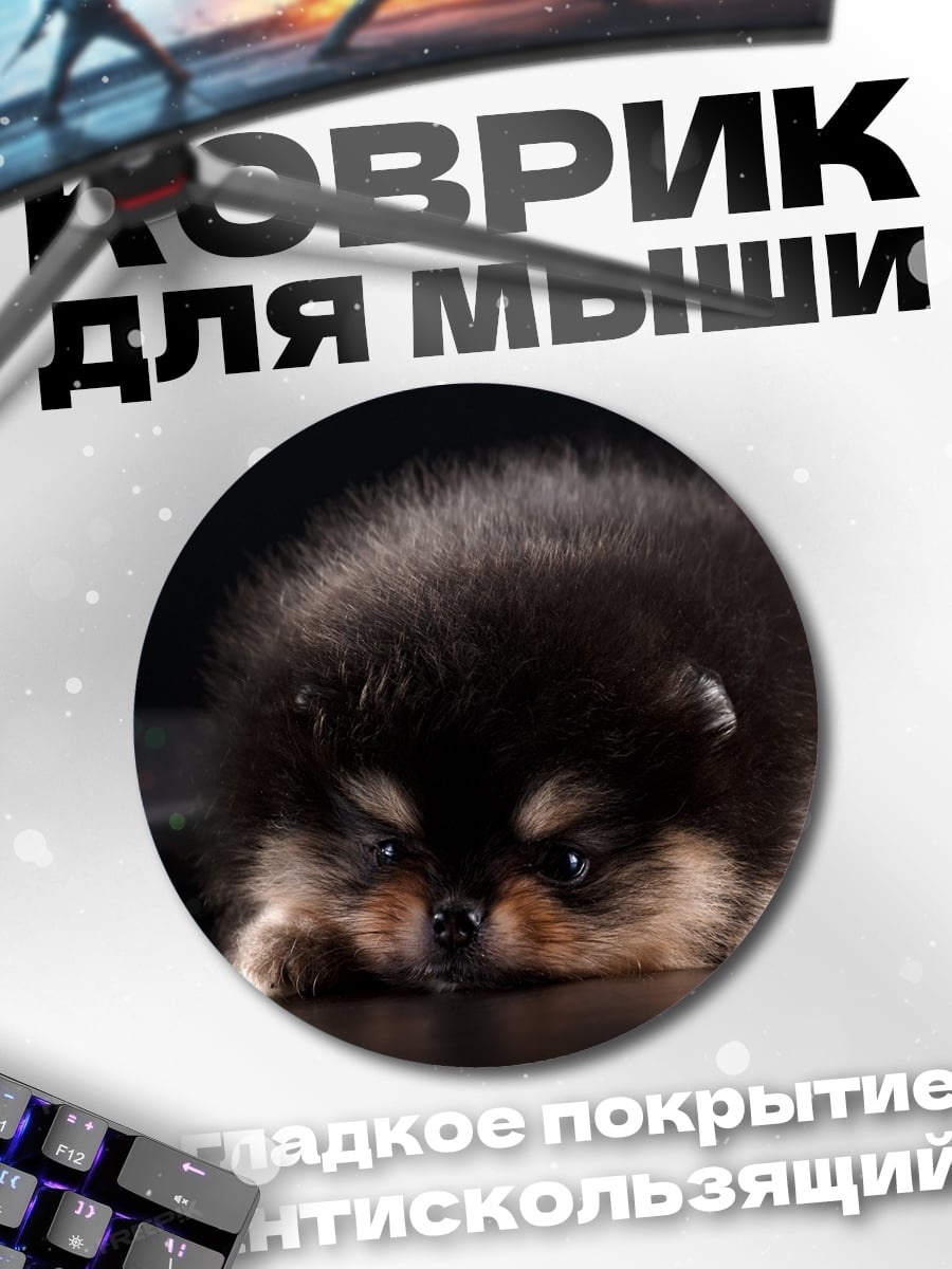 Коврик круглый Пушистый щенок померанца