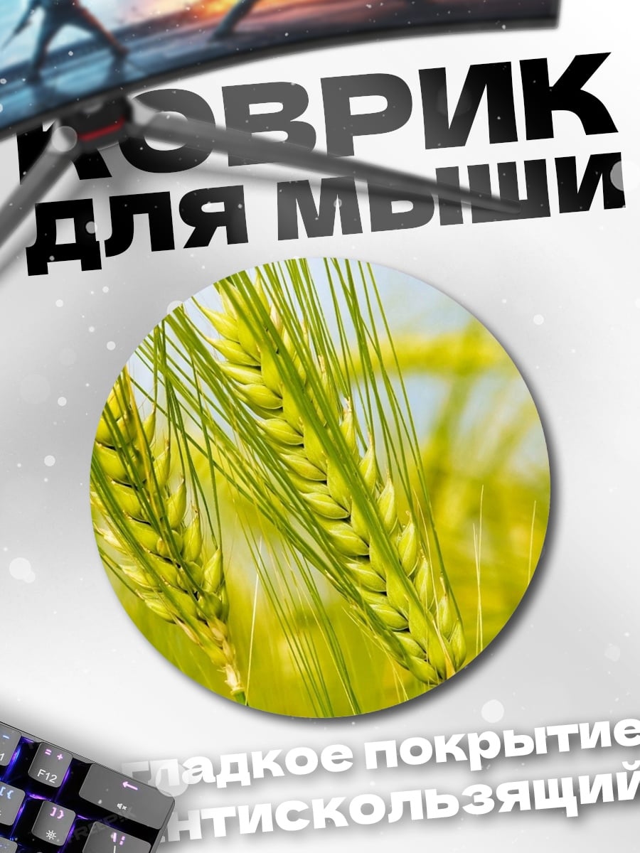 Коврик круглый Колосья пшеницы