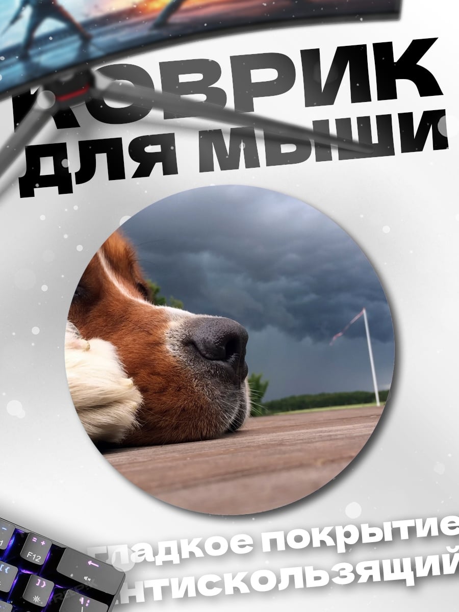 Коврик круглый Собака и гроза