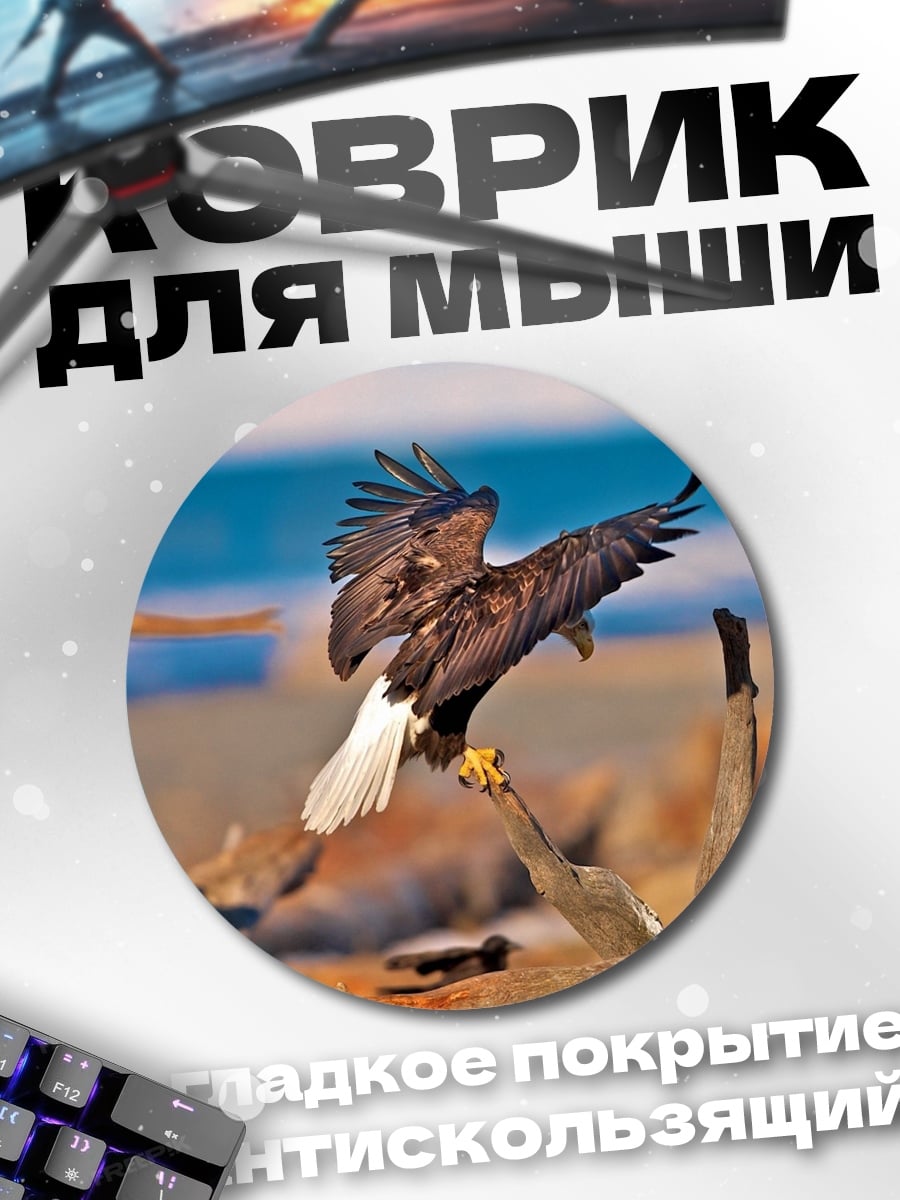 Коврик круглый Орлы на берегу