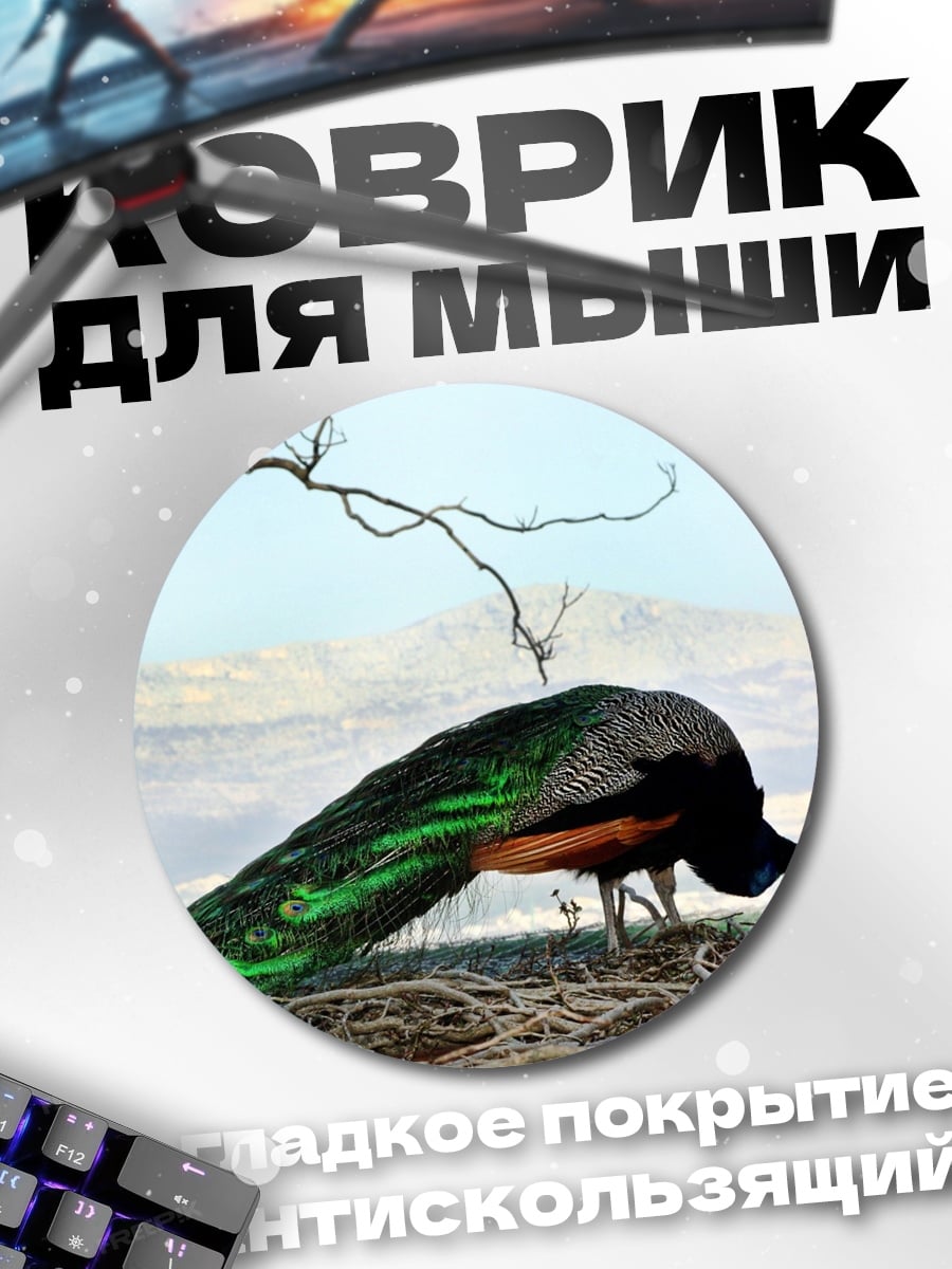 Коврик круглый Павлин в природе