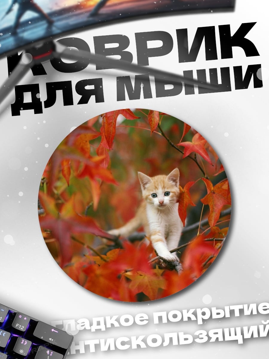 Коврик круглый Котёнок в осени