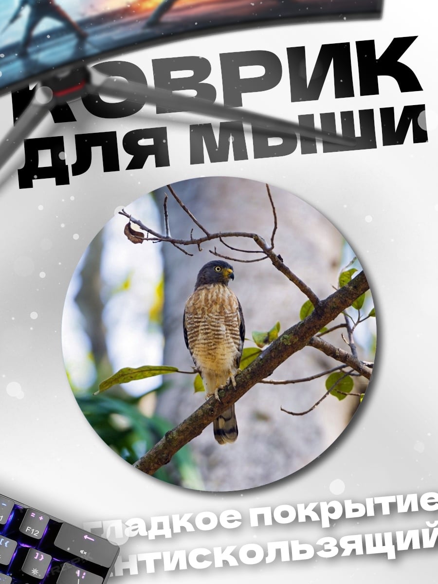 Коврик круглый ястреб на ветке