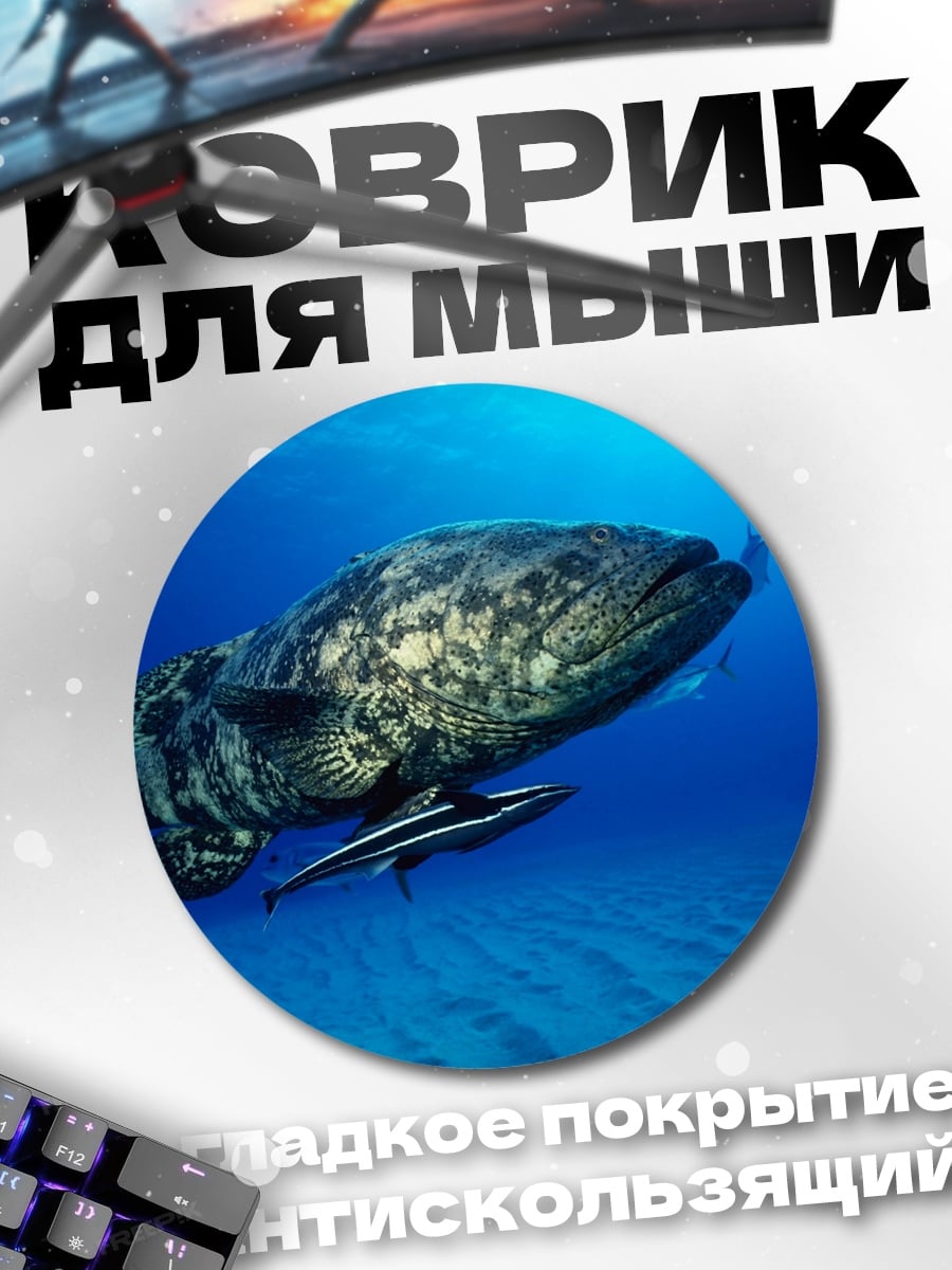 Коврик круглый большая рыба