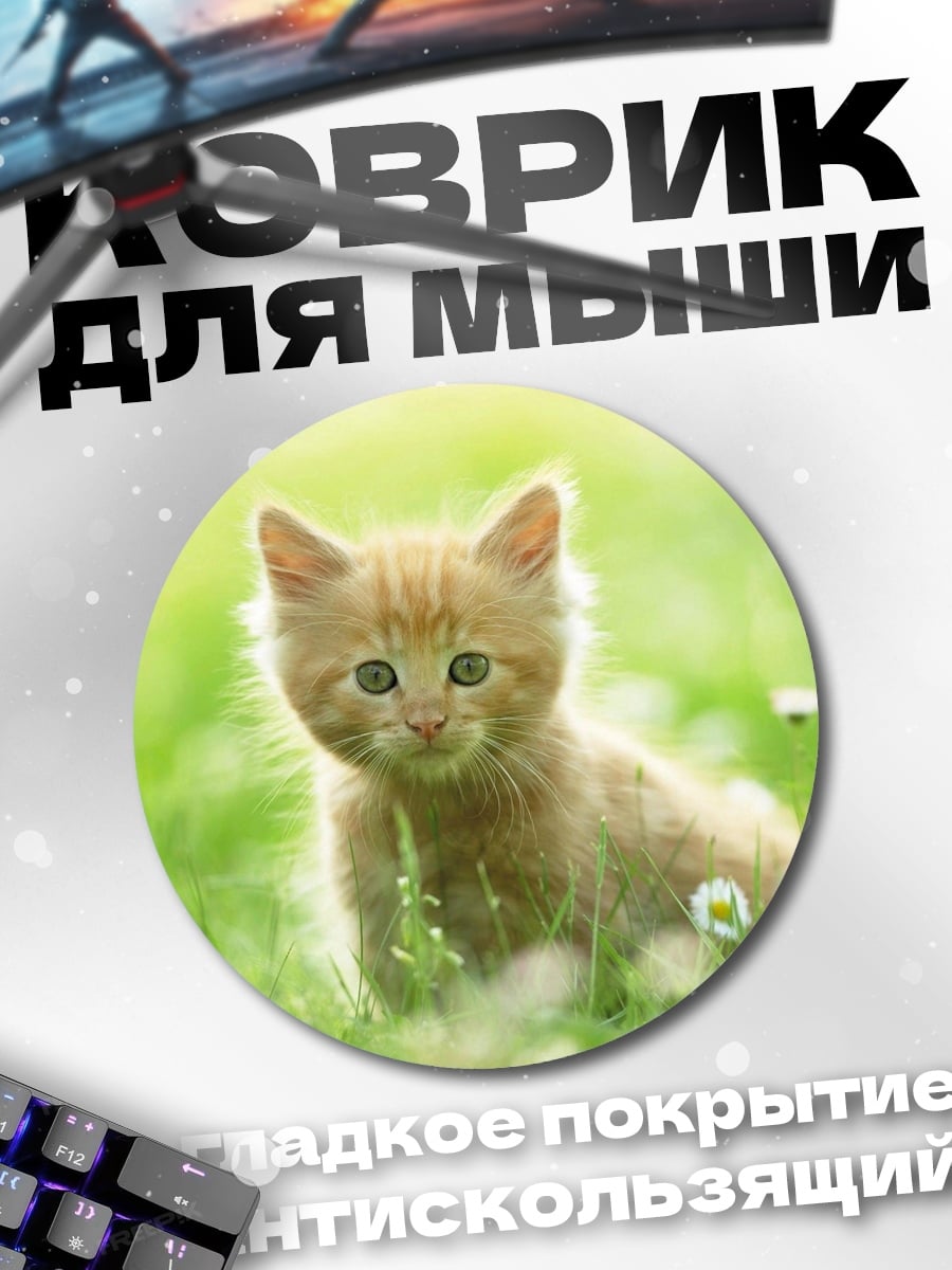 Коврик круглый Рыжий котенок на лугу