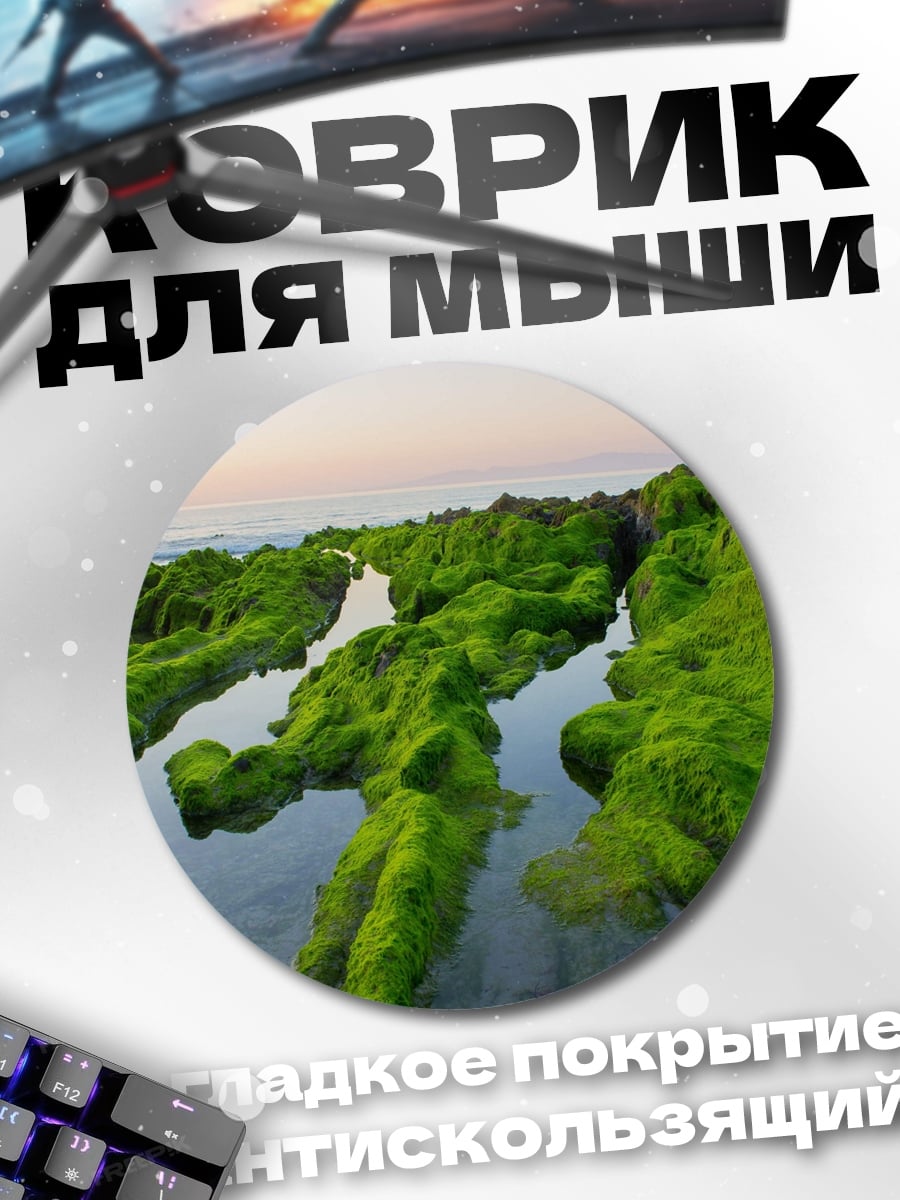Коврик круглый зеленые водоросли на камнях