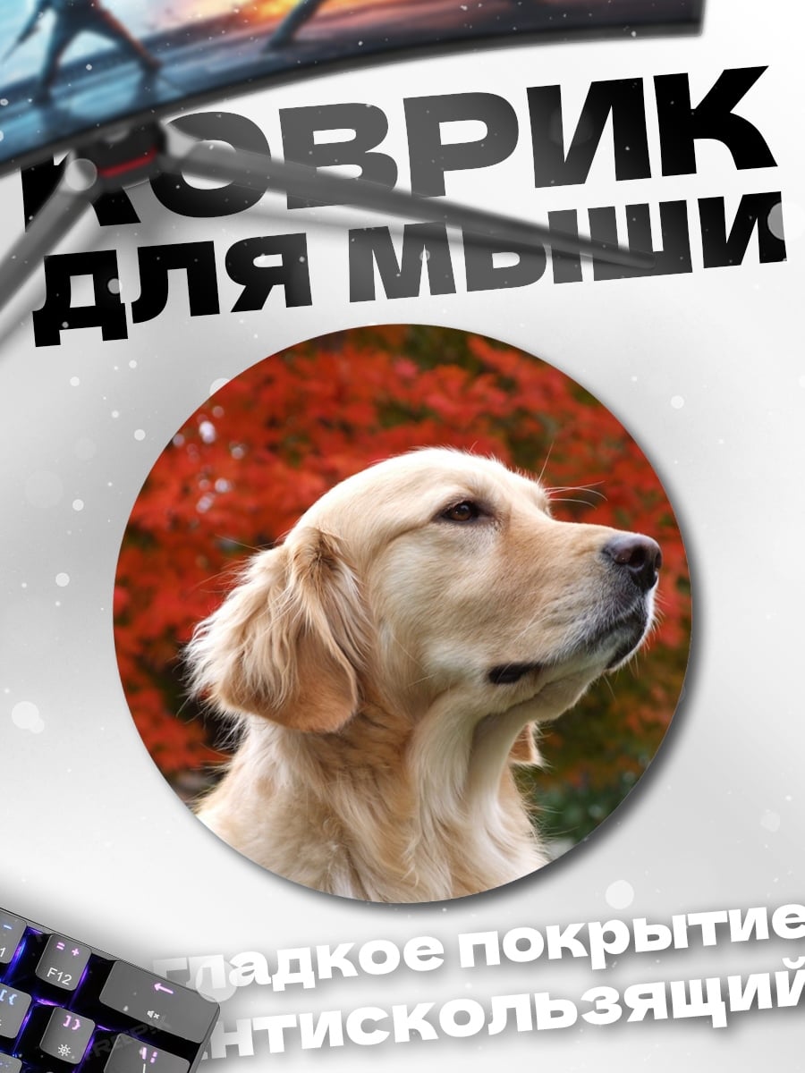 Коврик круглый Золотистый ретривер осенью