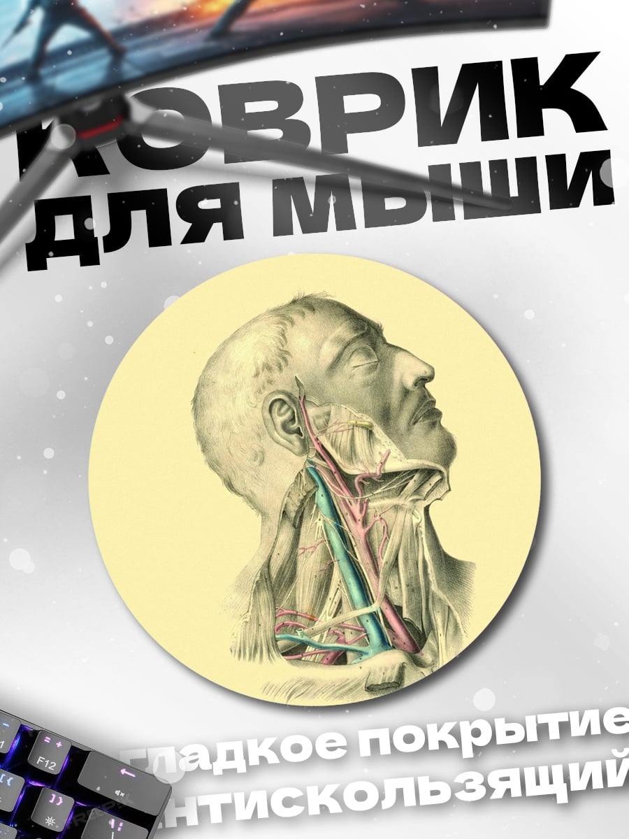 Коврик круглый Анатомия шеи человека