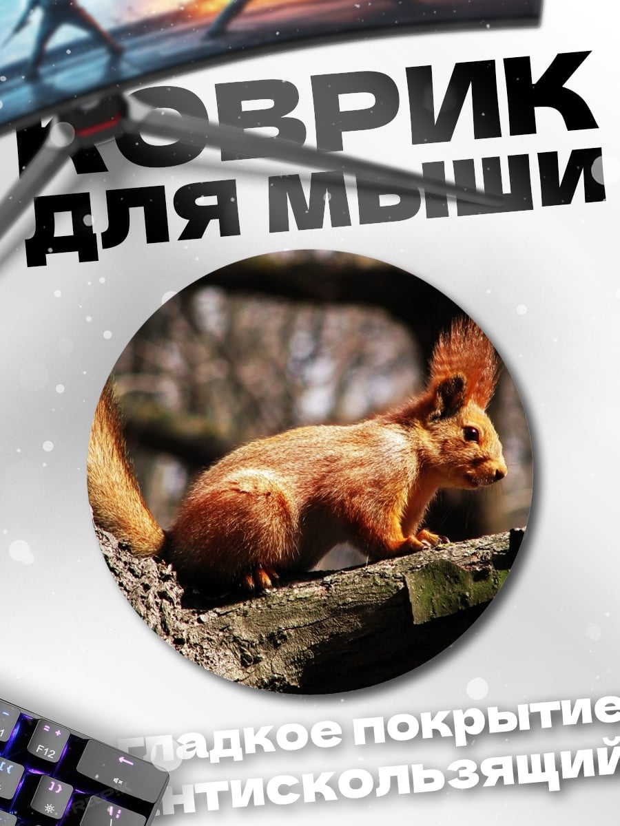 Коврик круглый Рыжая белка