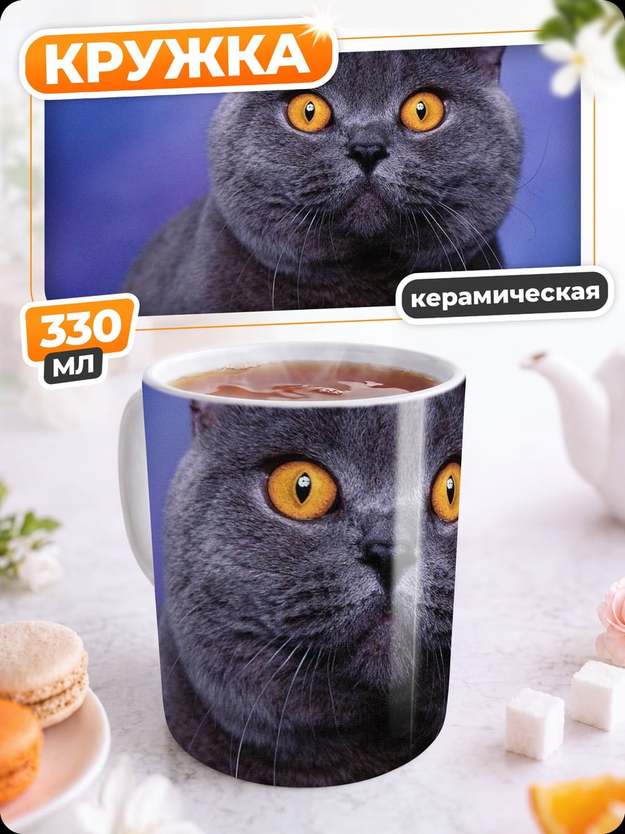 Кружка керамическая Британский кот