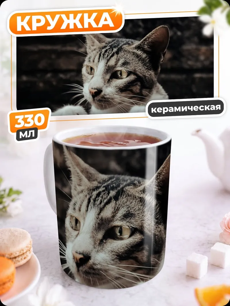 Кружка керамическая Любопытный кот