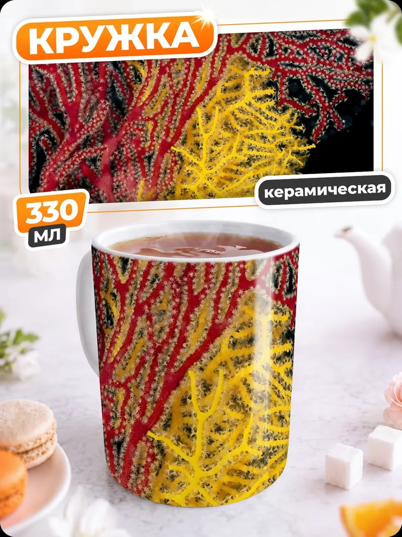 Кружка керамическая Морские веера