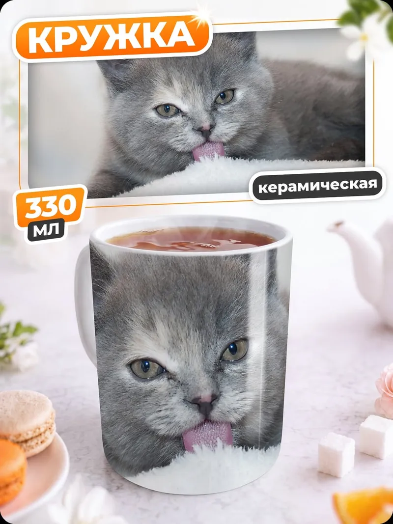 Кружка керамическая Серый котенок