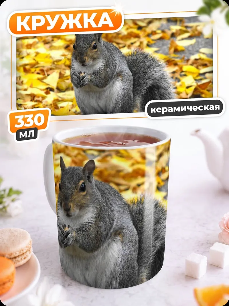 Кружка керамическая белка осенью