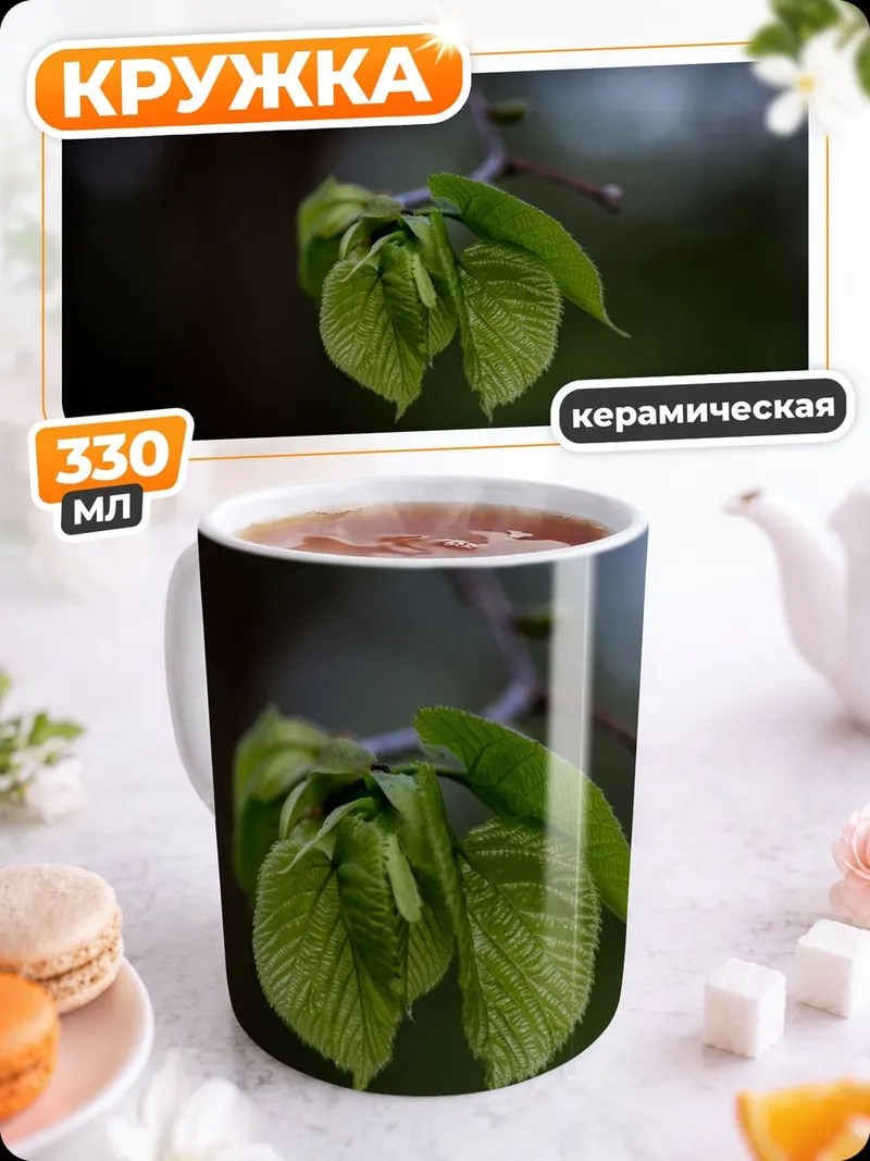 Кружка керамическая Весенние почки