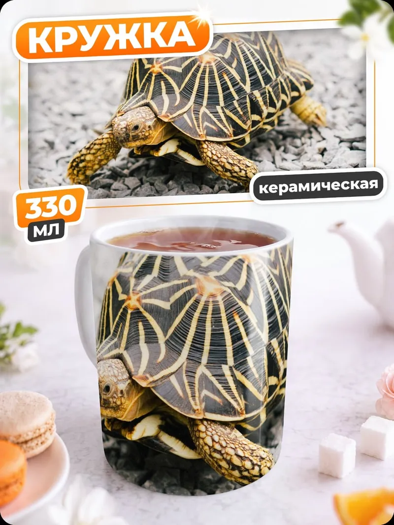 Кружка керамическая Черепаха на камнях