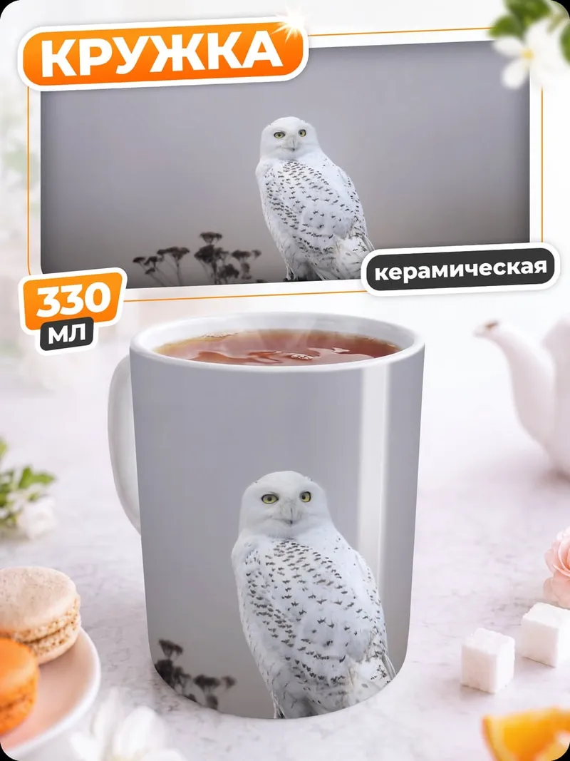 Кружка керамическая Белая сова туман