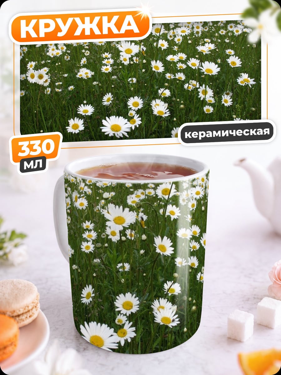 Кружка керамическая Поле ромашек