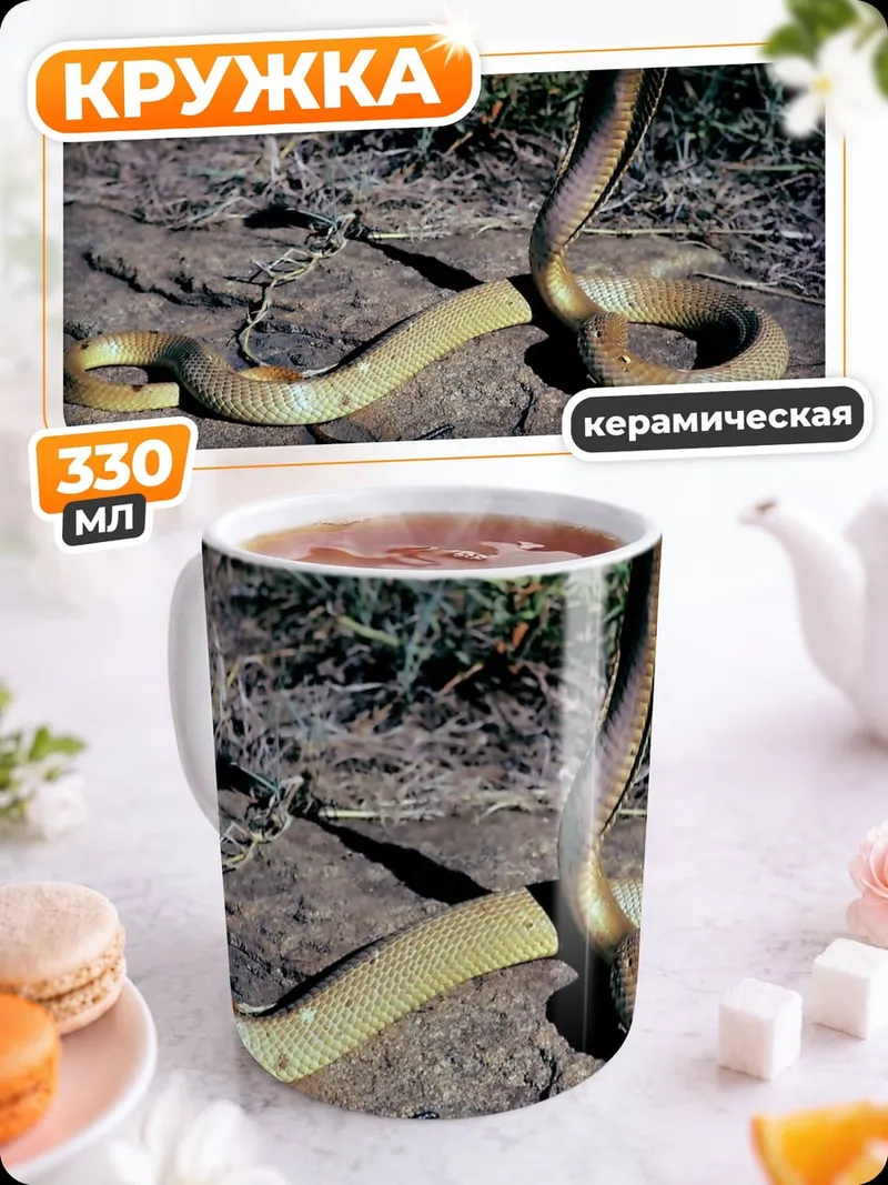 Кружка керамическая Кобра на камнях