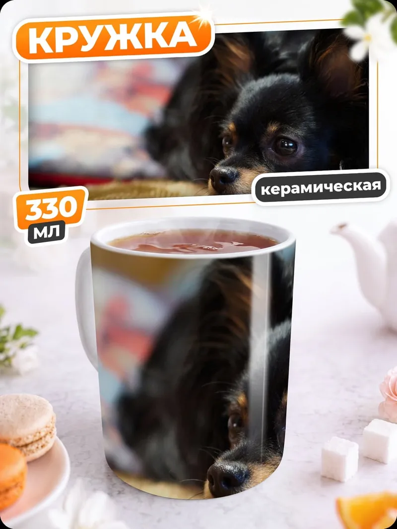 Кружка керамическая Чихуахуа на диване