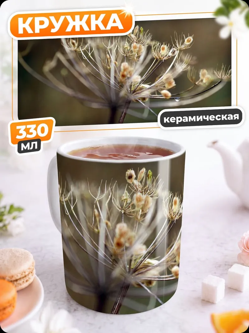 Кружка керамическая Сухие зонтичные цветы