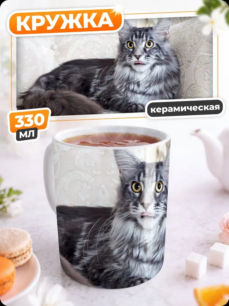 Кружка керамическая Кот породы мейн-кун