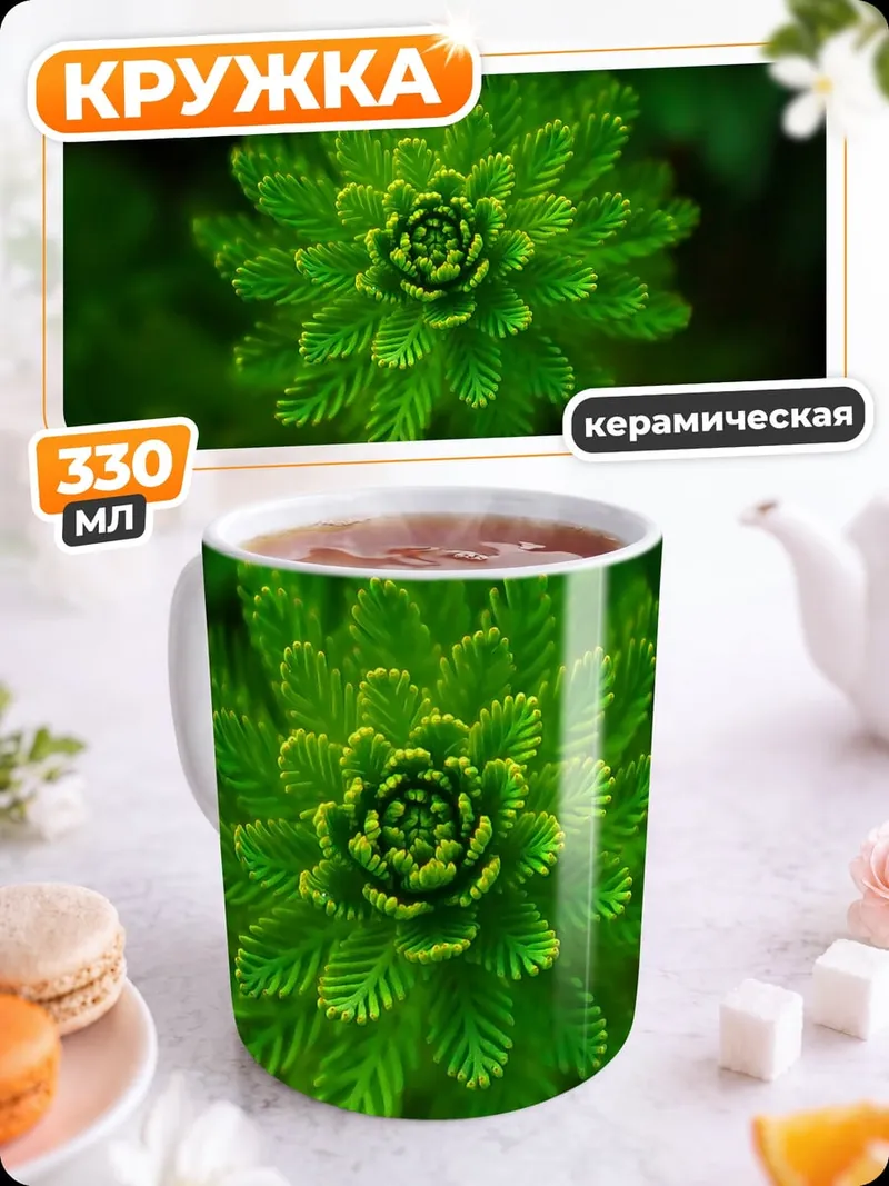 Кружка керамическая Зеленое растение крупным планом